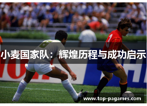 小麦国家队：辉煌历程与成功启示