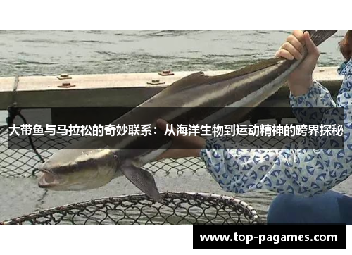 大带鱼与马拉松的奇妙联系：从海洋生物到运动精神的跨界探秘