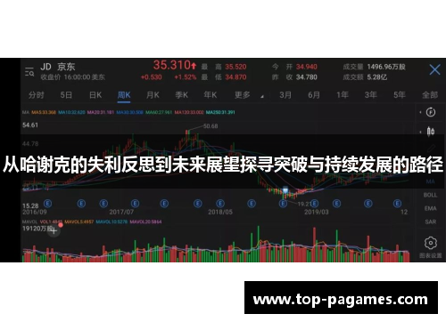 从哈谢克的失利反思到未来展望探寻突破与持续发展的路径