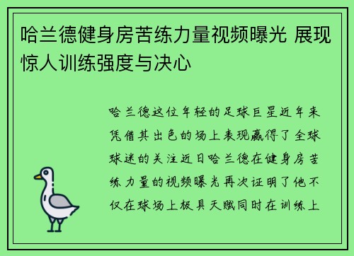 哈兰德健身房苦练力量视频曝光 展现惊人训练强度与决心
