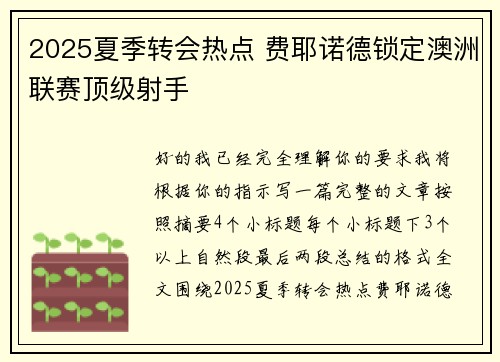 2025夏季转会热点 费耶诺德锁定澳洲联赛顶级射手